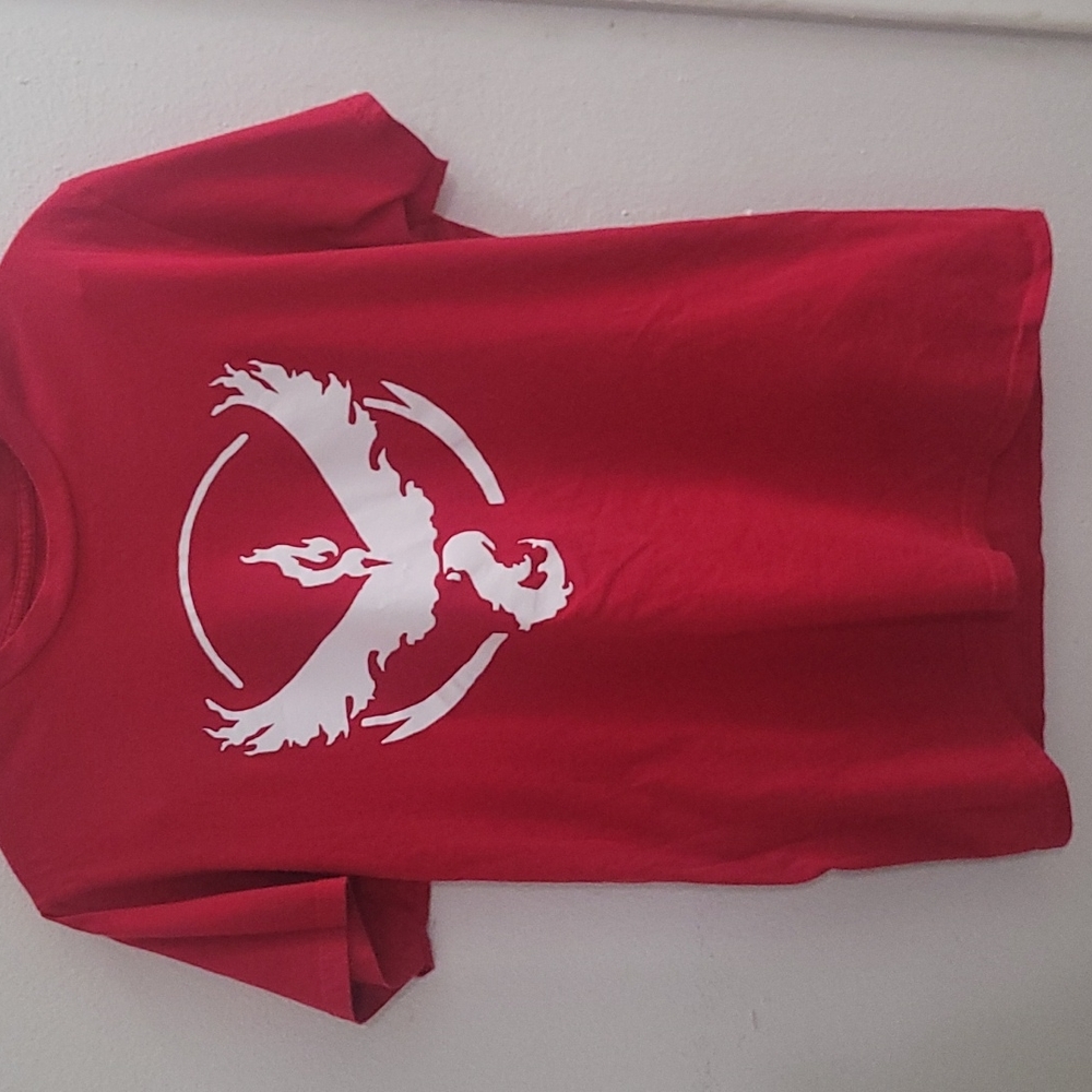 Red T-shirt with Pokémon go team red logo